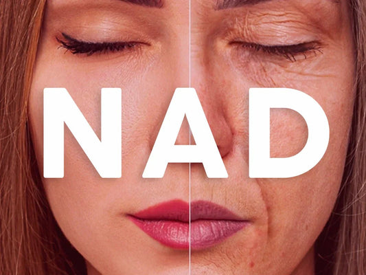 NAD+: El combustible que tu cuerpo necesita para mantenerse joven - TerraVit