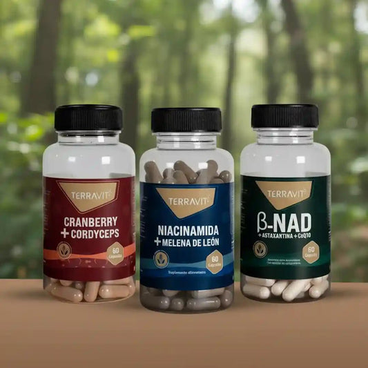 Pack ENFOQUE, ENERGÍA y RENDIMIENTO - TerraVit